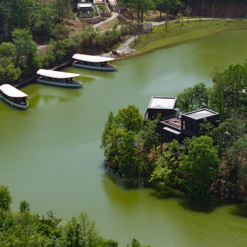 Ginkgo Valley ·  Suizhou 