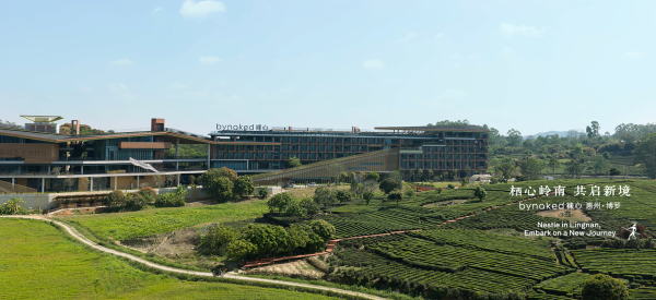 栖心岭南 共启新境